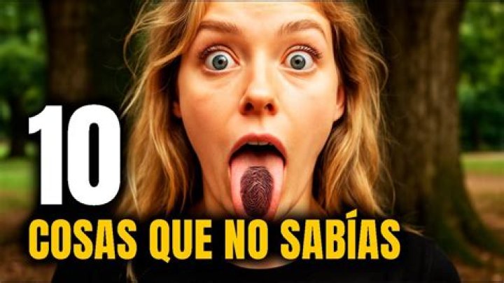 10 cosas que no sabías de Jean Claude Van Damme Virolico