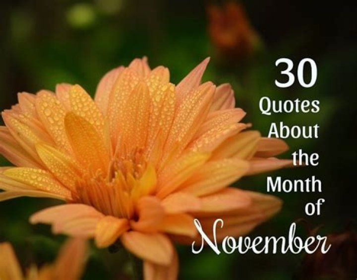 30 Quotes About November Month of Thanksgiving and Reflection Holidappy