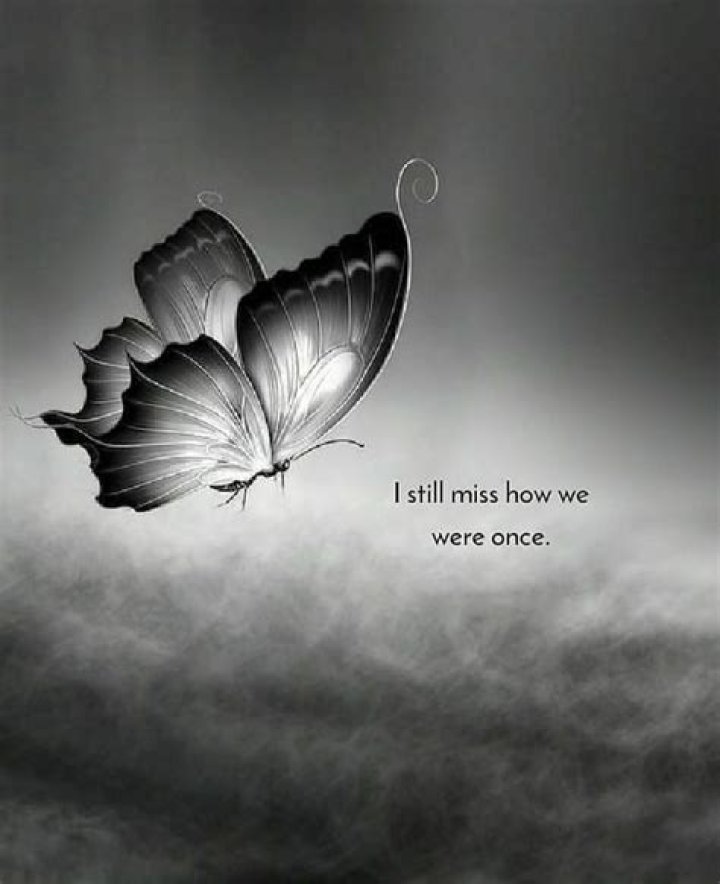 70 Heart Touching I am Sorry Quotes & Captions The Bright Quotes