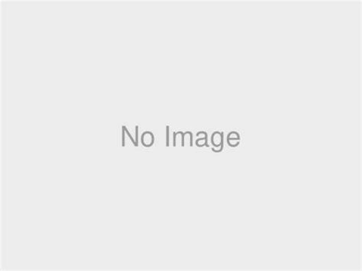 Adam Canto Facts, Bio, Career, Net Worth AidWiki