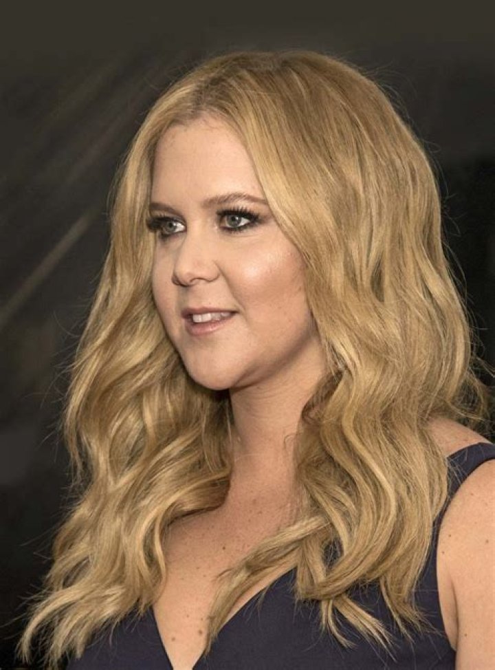 Amy Schumer's Husband Who is Chris Fischer? WHO Magazine