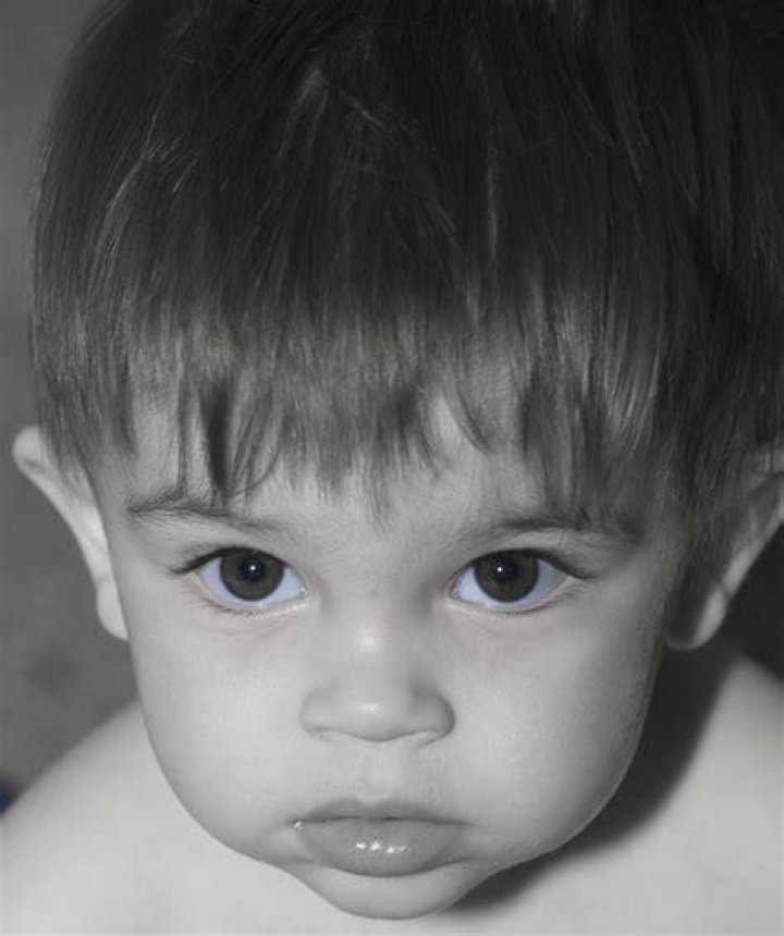 Big Brown Eyes Adam Vander Ark Flickr