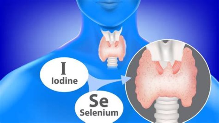 Can Ozempic Cause Thyroid Cancer? Dibesity