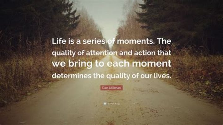 Dan Millman Quote “Life is a series of moments. The quality of