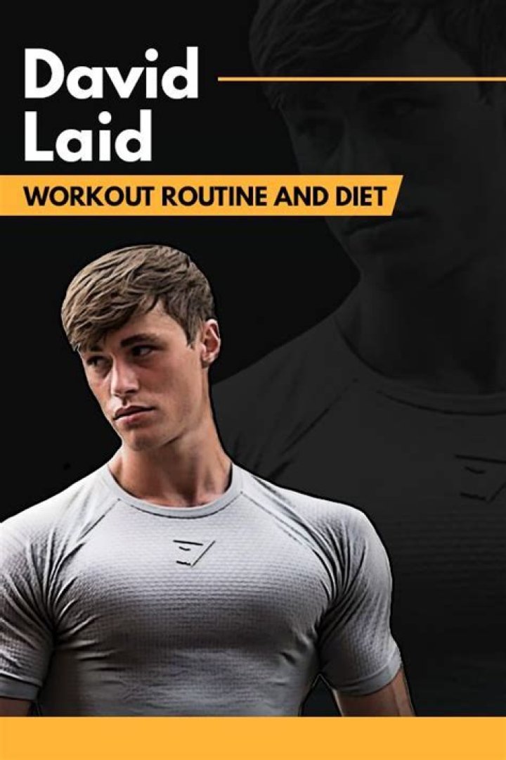 David Laid Workout Routine And Diet Plan Health Yogi