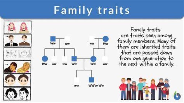 Family Tendency Understanding Traits and Behaviors Strategies for