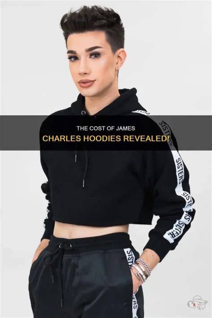 How Much Money James Charles Makes On YouTube Net Worth Naibuzz