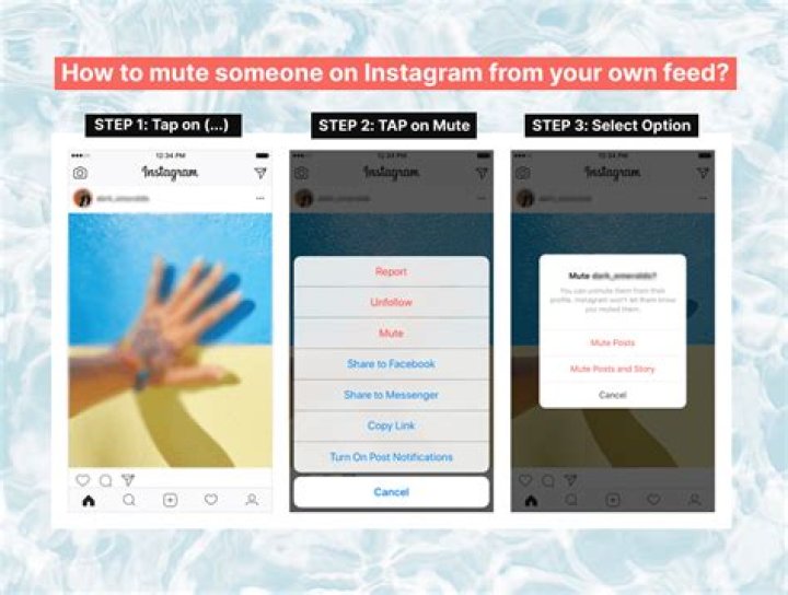 How to Mute Someone's Instagram Story