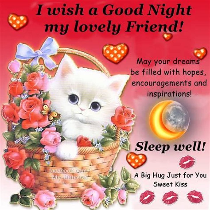 I Wish A Good Night My Lovely Friend Pictures, Photos, and Images for