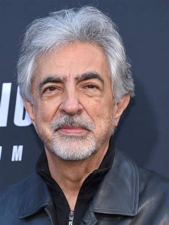 Joe Mantegna Criminal Minds Wiki Fandom