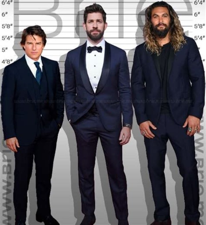 John Krasinski Height Brie