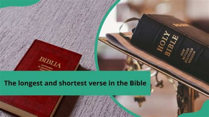 Longest and shortest verse in the Bible Legit.ng