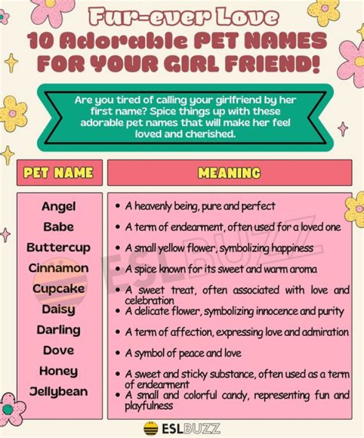 Lover Pet Names 200+ Adorable and Cute Names