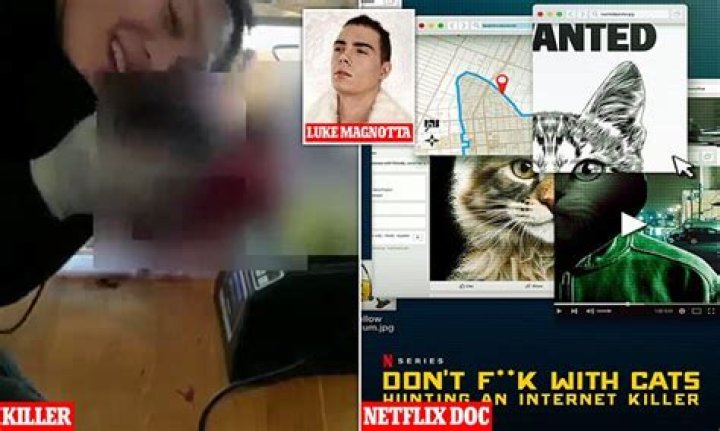 Luka Magnotta Cat Video Blender Daisy mart