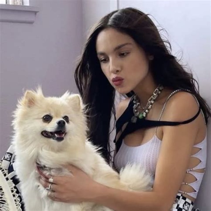 Olivia Rodrigo Pets Celebrity Pets