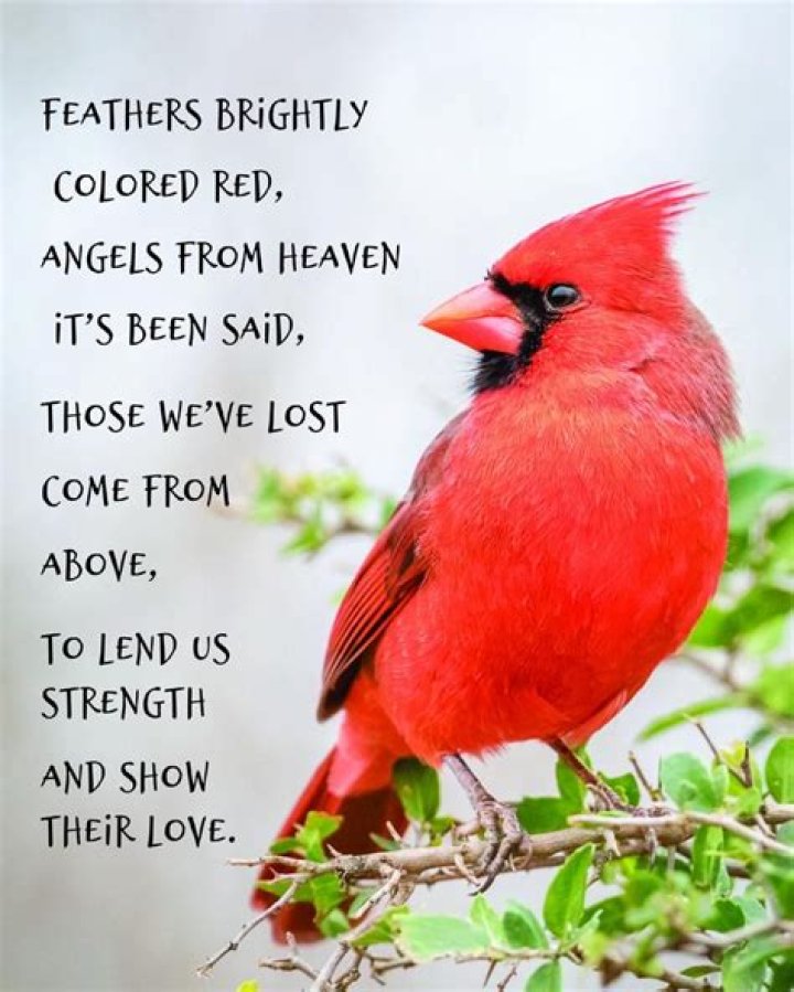 Red Cardinal Poster Printable Memorial Poem Printable Art Etsy in