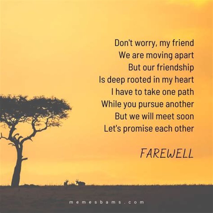 Saying Goodbye To a Friend 134 Farewell Quotes for Friendship