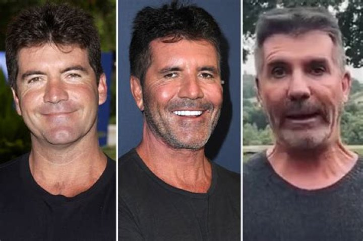 What Happened To Simon Cowell's Son? A Deeper Look