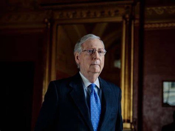 Who Is Mitch McConnell's Daughter Elly McConnell? Wikipedia, Age