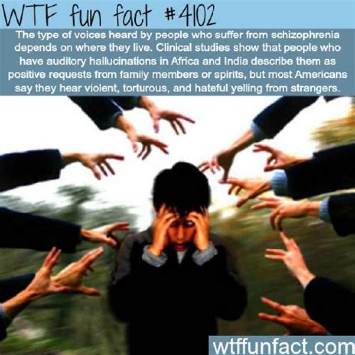 Wow Facts, Wtf Fun Facts, Funny Facts, Funny Jokes, Fascinating Facts